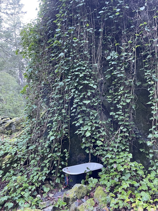 Outdoor bath tub in the redwood forest of California