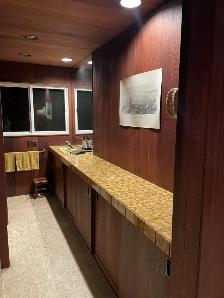 60s style wood panel bathroom with gold counters
