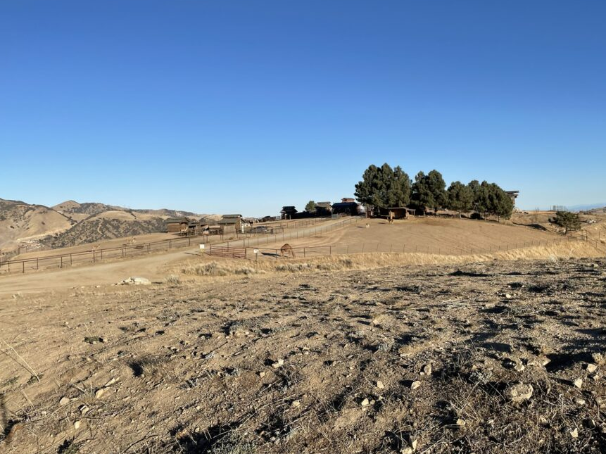 Alpaca farm and ranch stay California