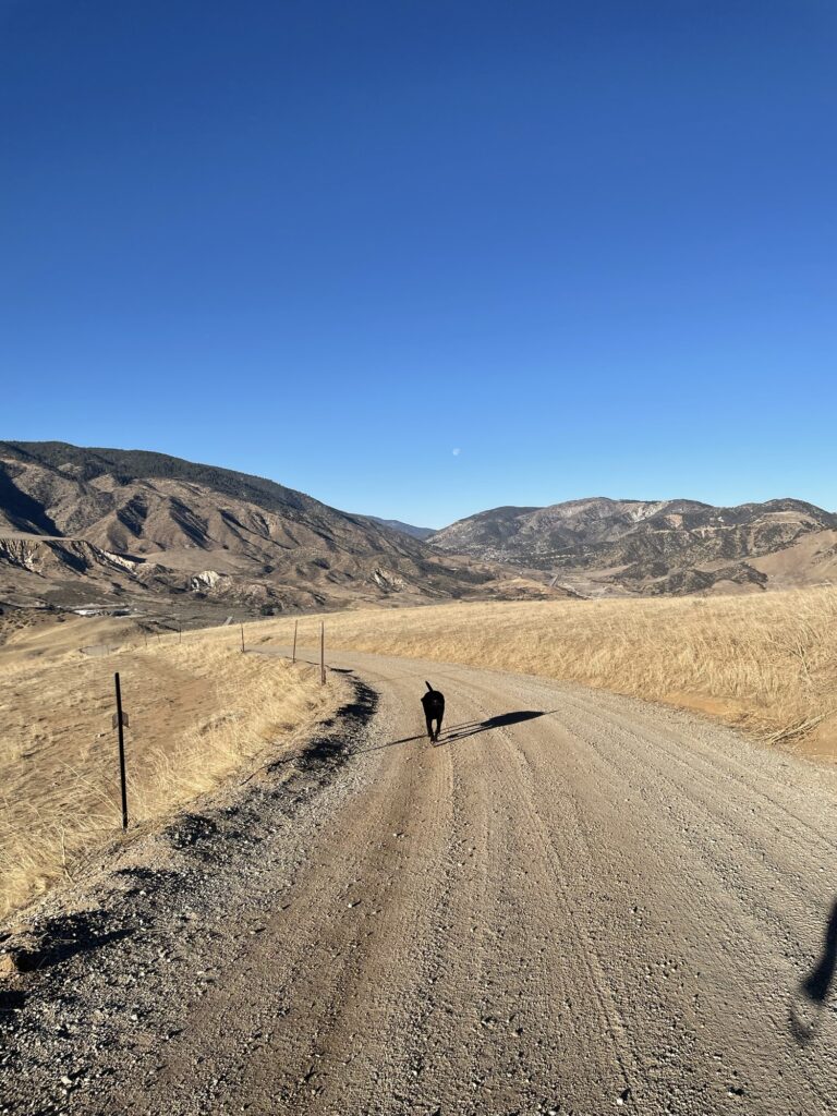 Hike around California hills