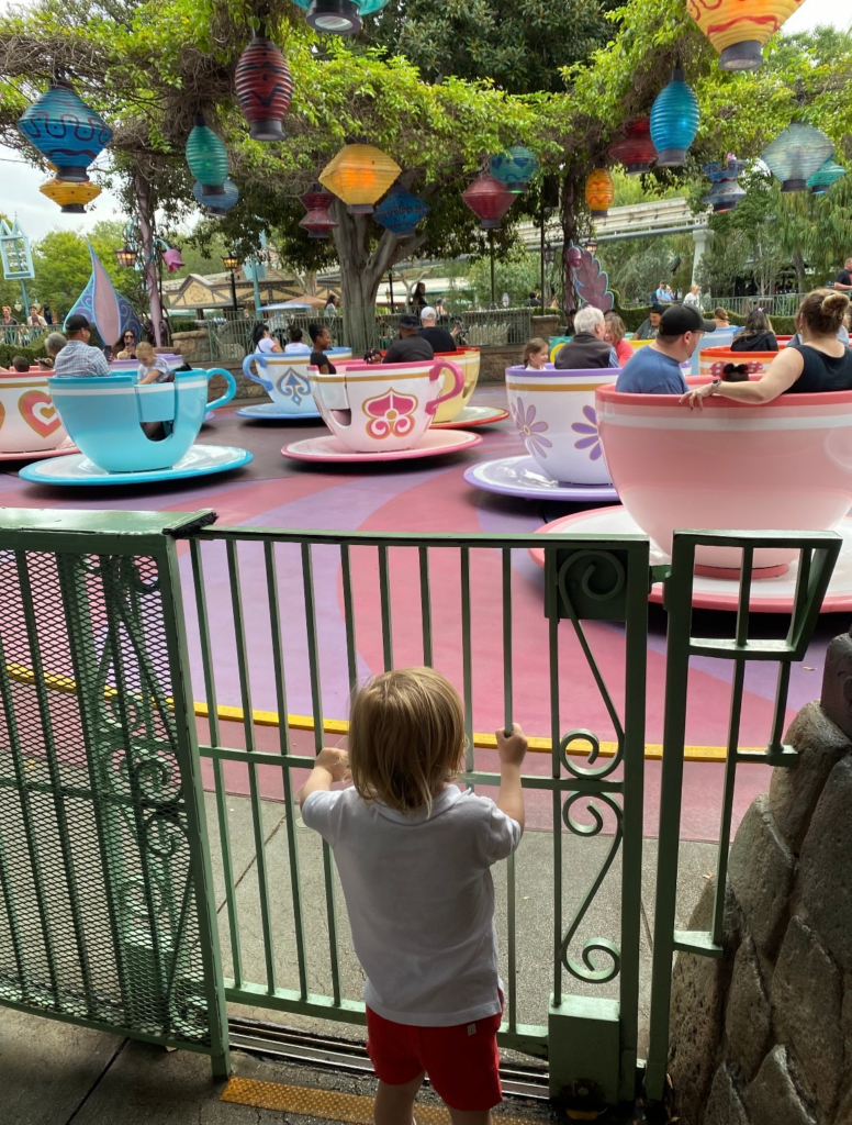 disney stroller hacks