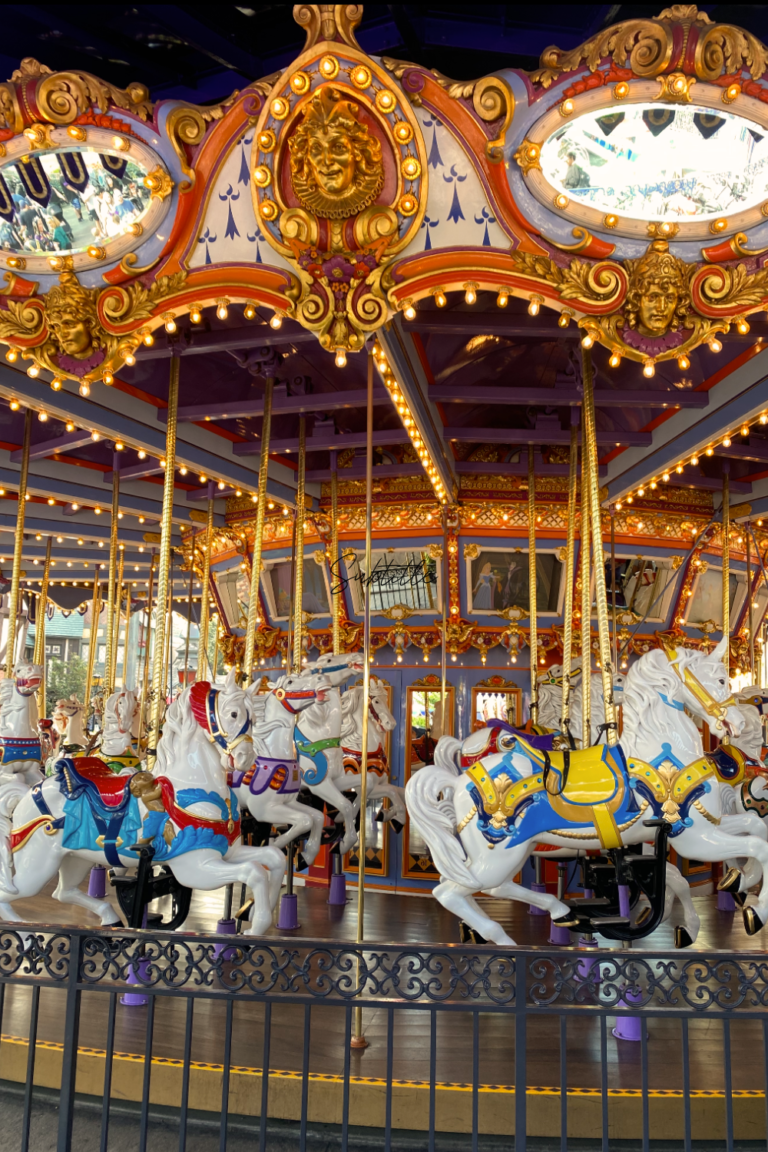 disney stroller hacks